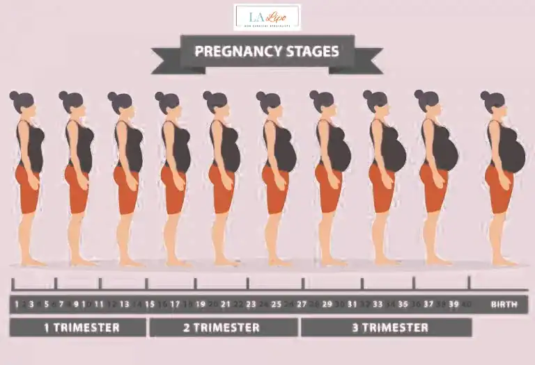 First Trimester (Weeks 1–12): Early Changes You Might Not Notice Chorleywood